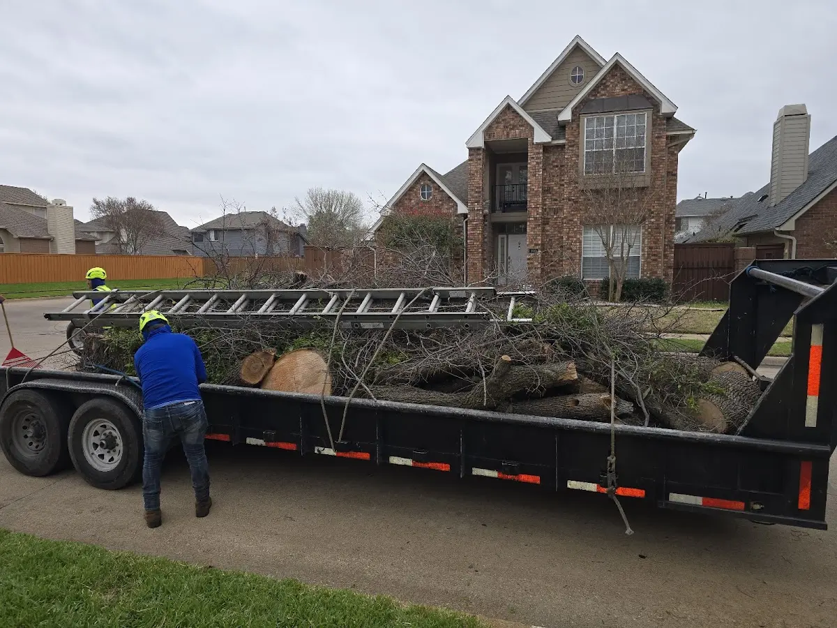 Expert Lot Clearing with proper safety equipment in Dighton